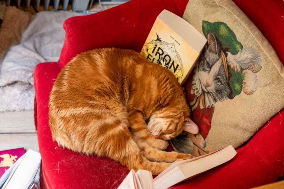 An orange cat lays on a red chair by several books.