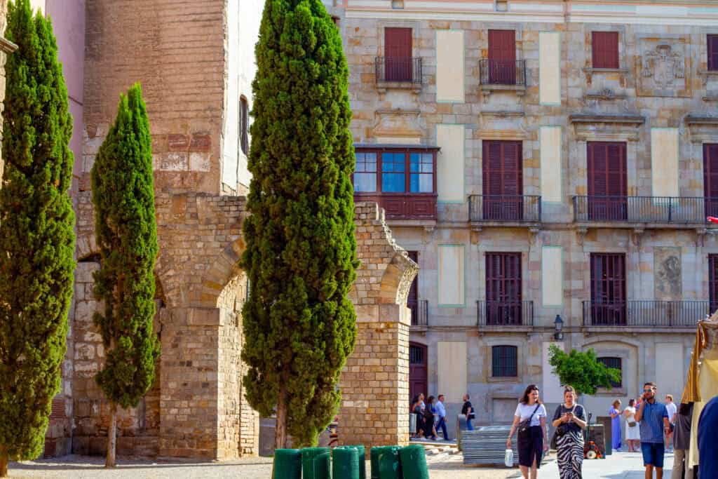 Photo of trees and background behind market