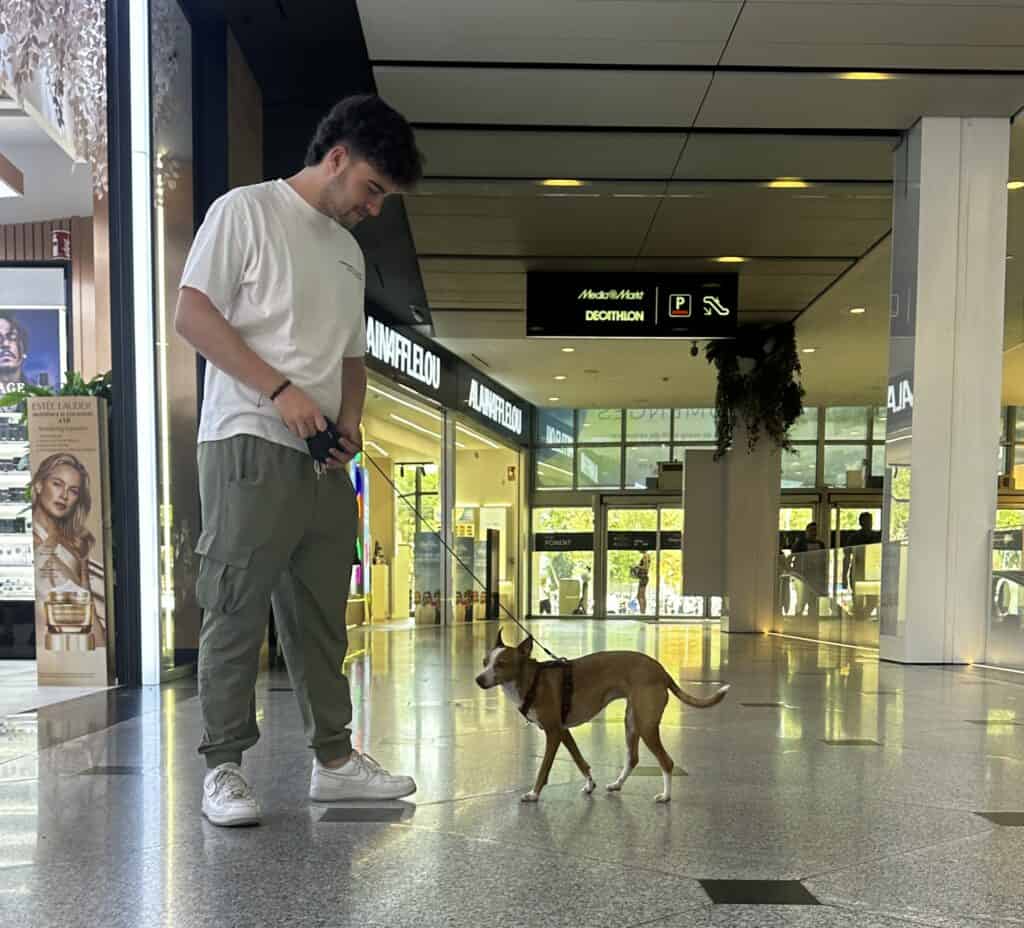 Dog with owner outside of store