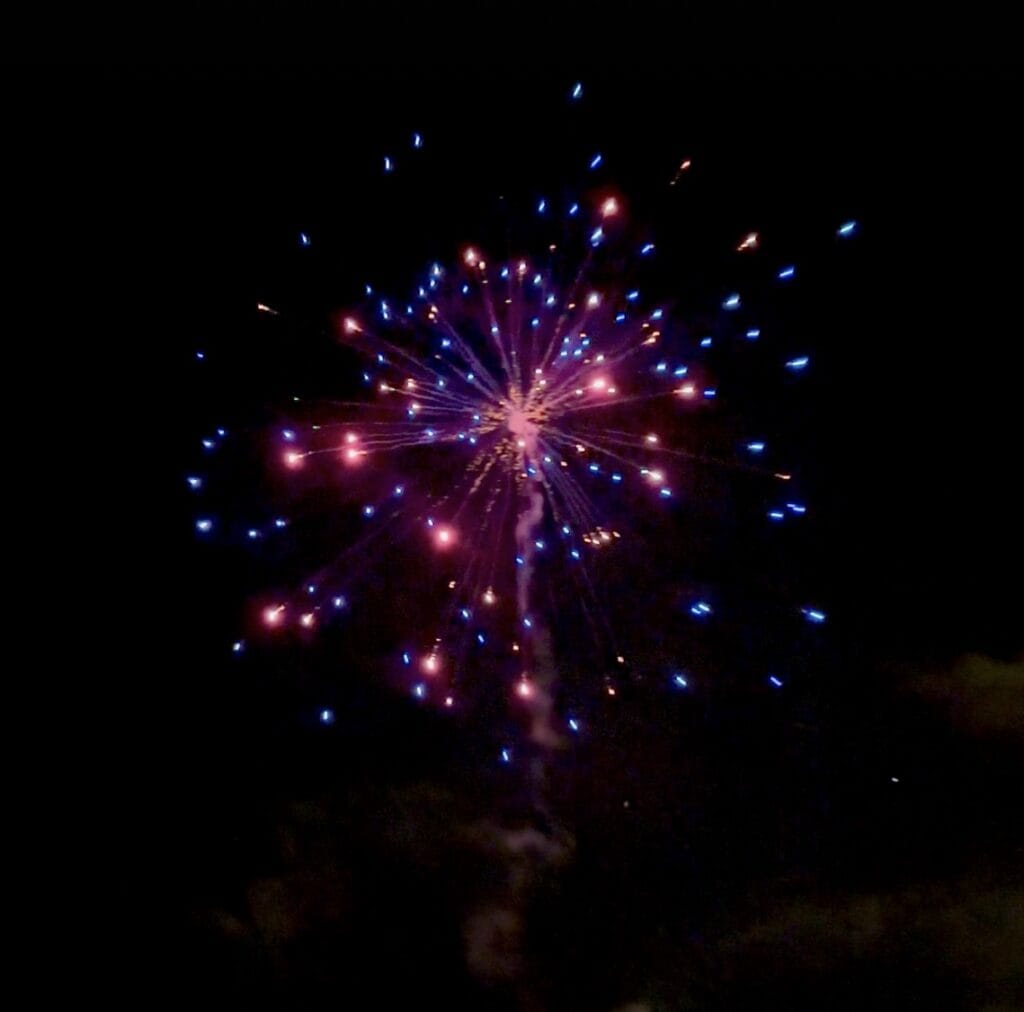 Firework lighting up the night sky.