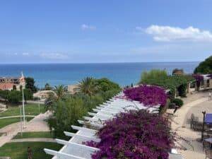 View of purple flowers overlooking Tarragona Beach.