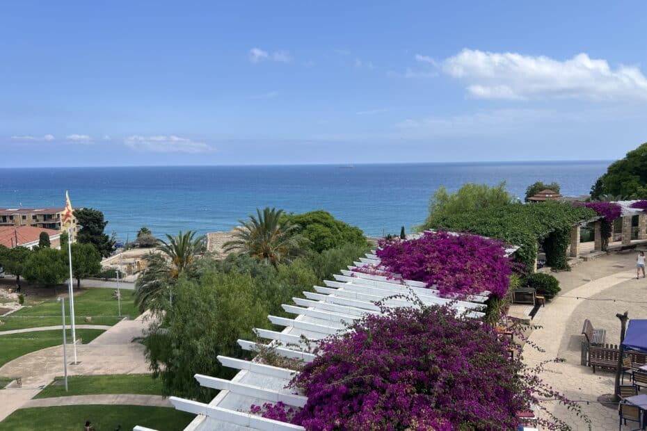 View of purple flowers overlooking Tarragona Beach.