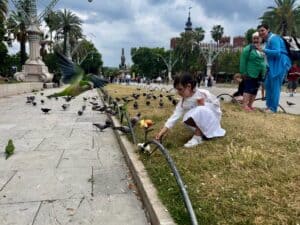 A child reaches out to feed a group of birds, including a parrot flying and many pigeons in the grass