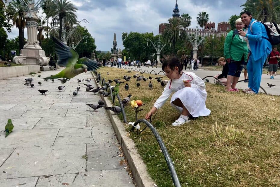 A child reaches out to feed a group of birds, including a parrot flying and many pigeons in the grass