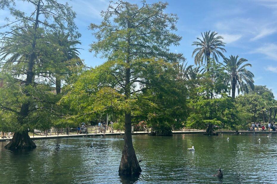 Tree in pond photo