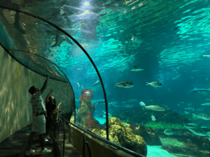 Barcelona Aquarium