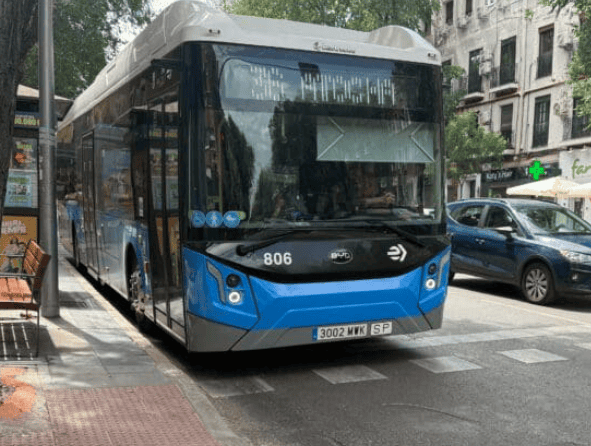 Bus 36