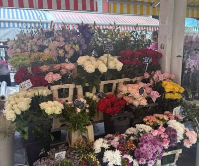 IMG_8221 IMG_8221